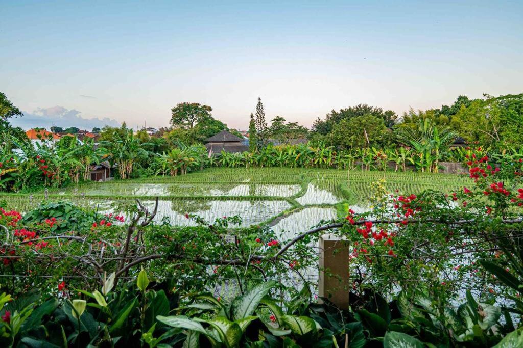 Villa Mimpi Nyata Canggu Exteriér fotografie