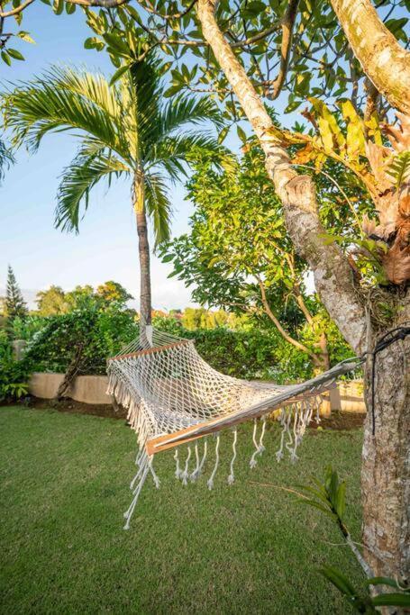 Villa Mimpi Nyata Canggu Exteriér fotografie