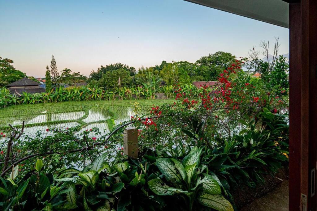 Villa Mimpi Nyata Canggu Exteriér fotografie
